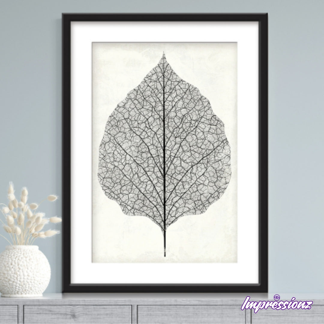 Framed Art