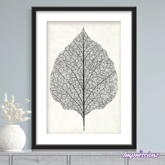 Framed Art