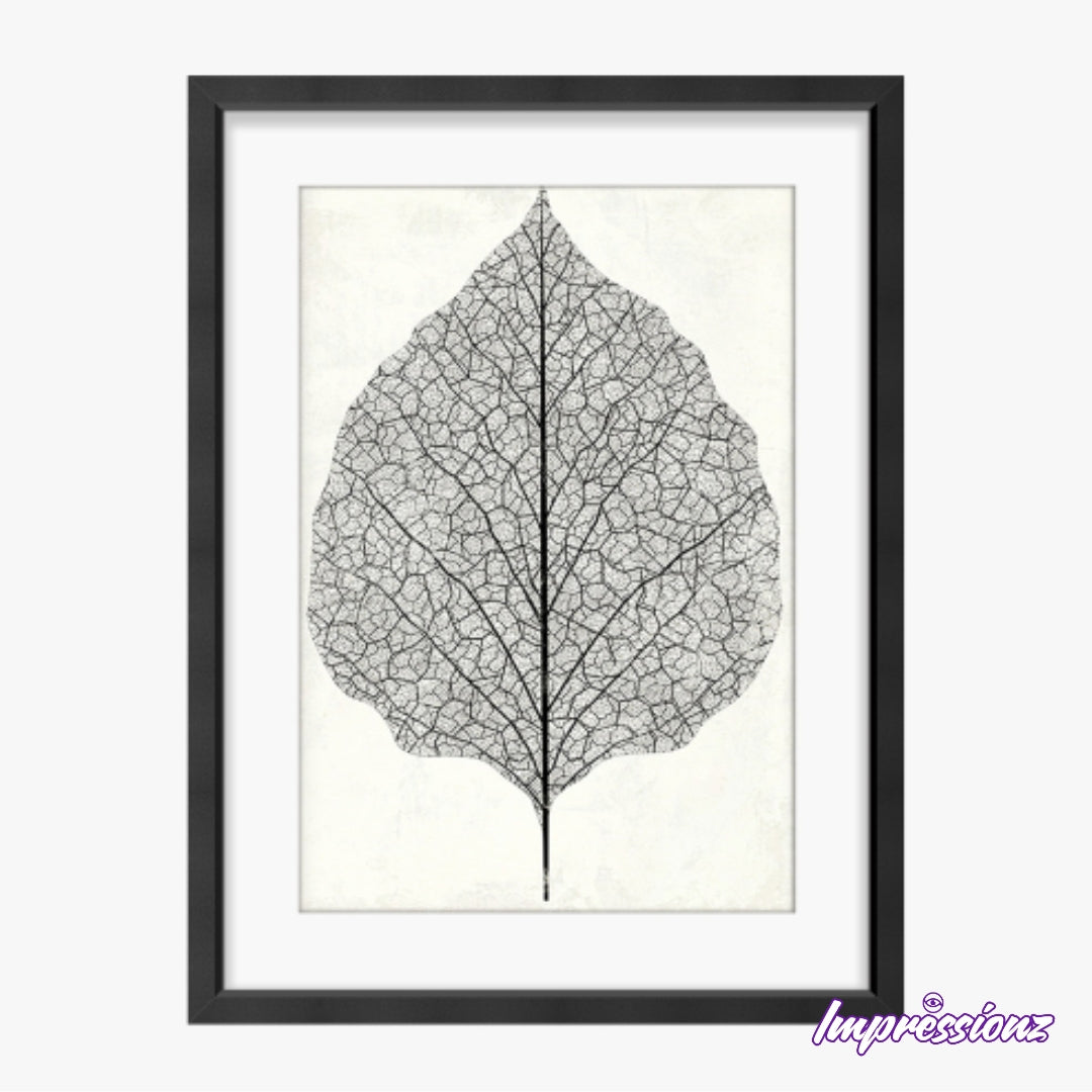 Framed Art