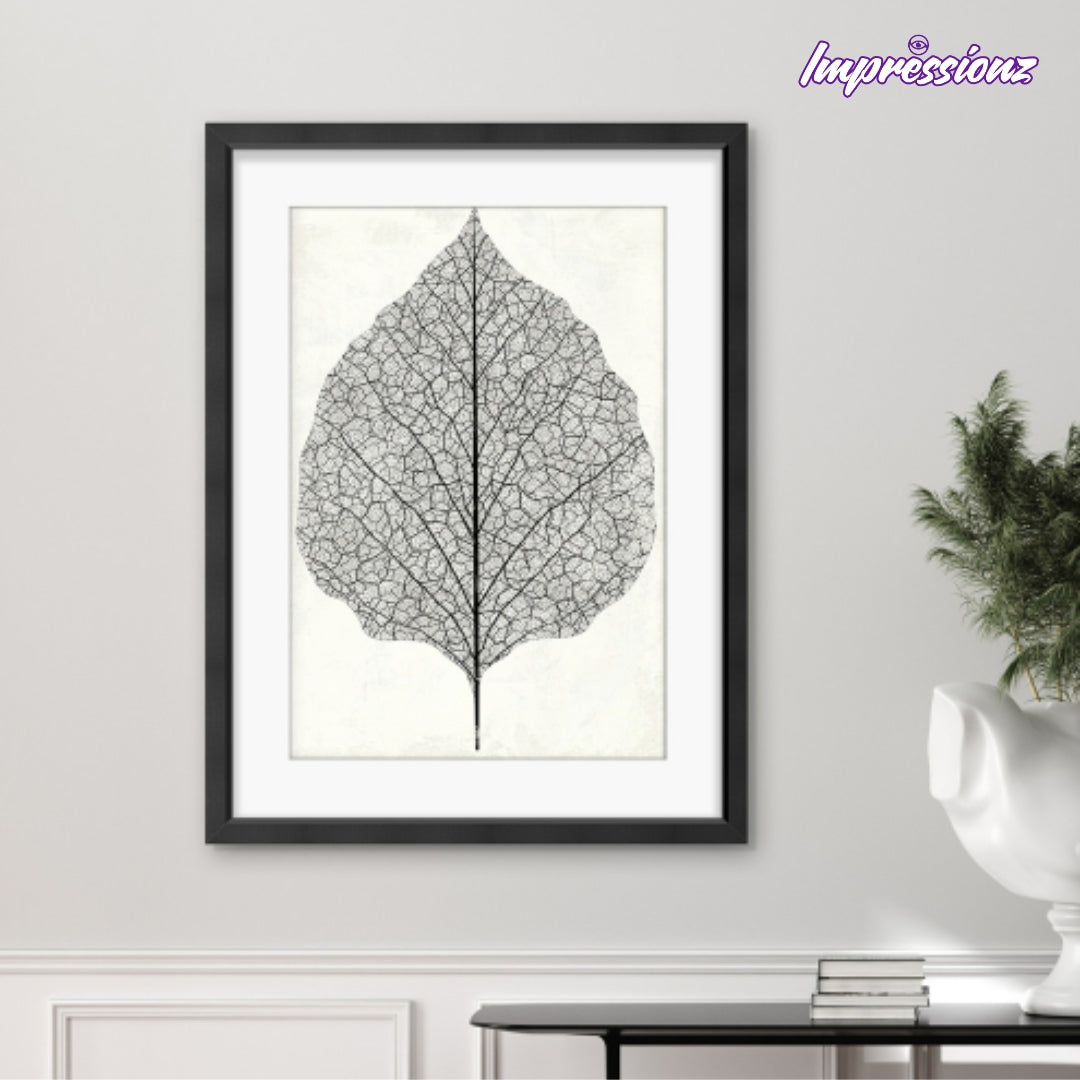 Framed Art